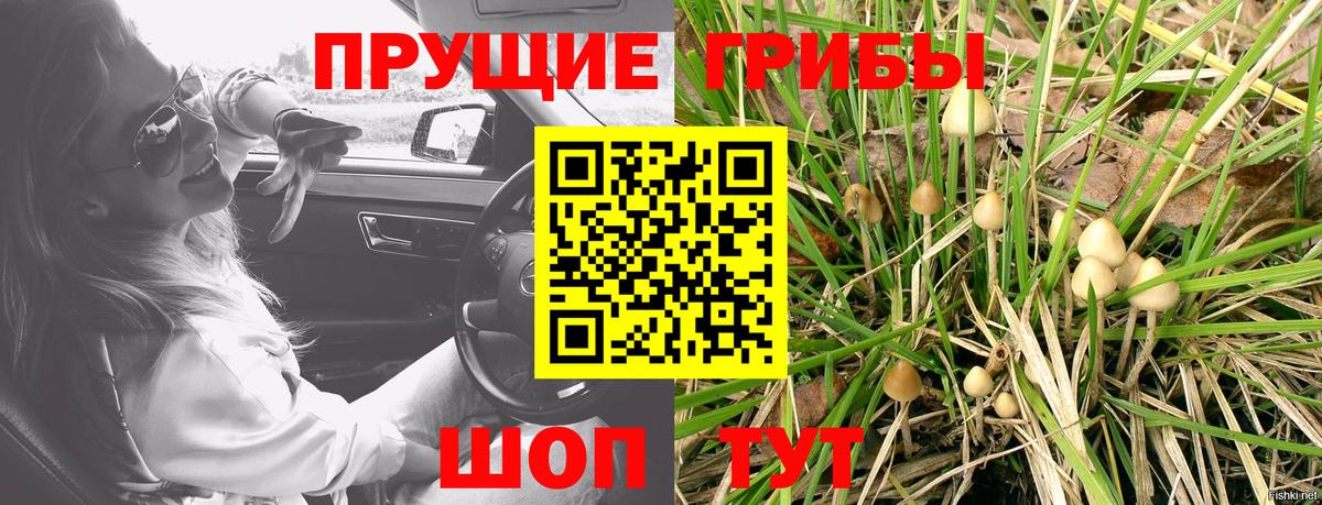 Ногинск  Галлюциногенные грибы Cubensis  Галлюциногенные грибы Psilocybe  Вход с VPN 